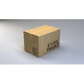 Cardboard Box (Large)